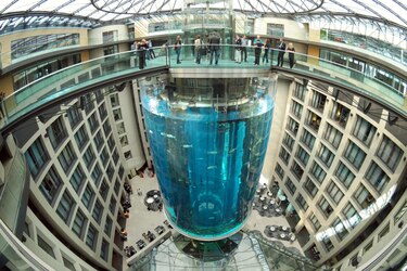 Revienta el acuario cilíndrico más grande del mundo