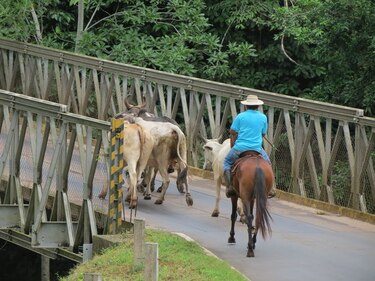 Mida: Panamá Oeste es la región menos afectada por la sequía
