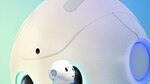 Robots: útiles, inteligentes y sensibles