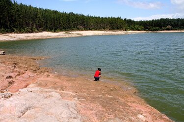 Ordenan el cierre temporal de la reserva forestal La Yeguada y el parque nacional Coiba