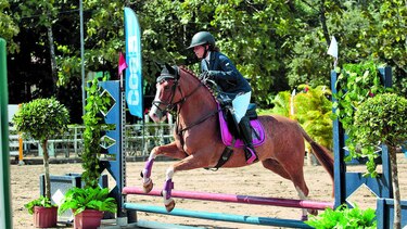 Jinetes definen el campeonato
