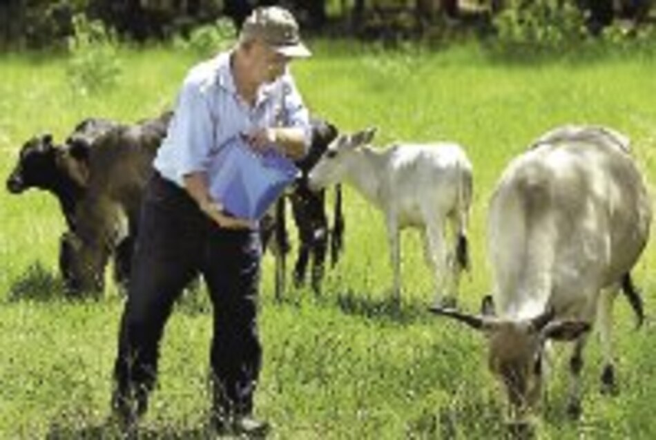 Diversificar los pastos puede evitar enfermedades