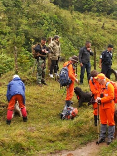 Fiscal asegura que perros marcaron tres puntos importantes en sendero