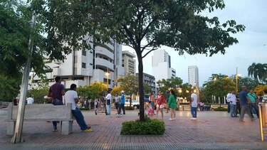 Y las armas callarán