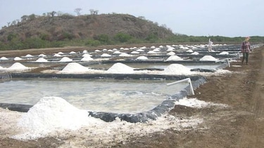 Salineros santeños, sin alcanzar cuota de producción