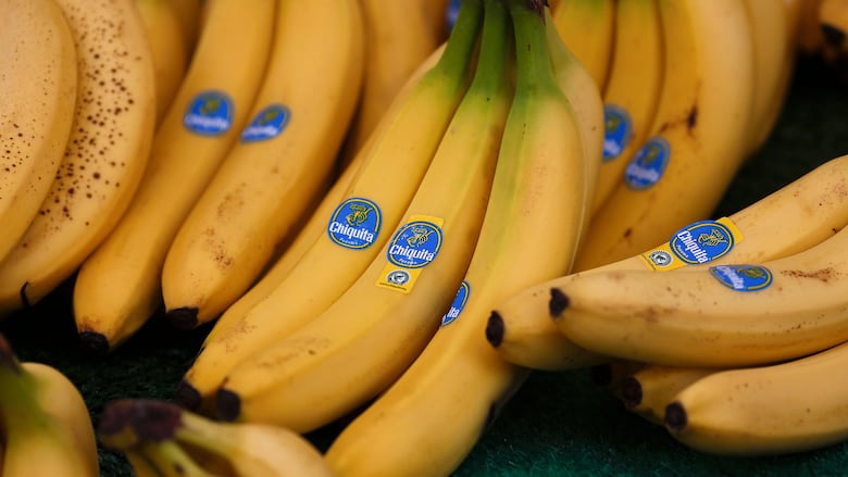 La raíz del conflicto en Bocas del Toro: entre el banano, el sindicato y la represión