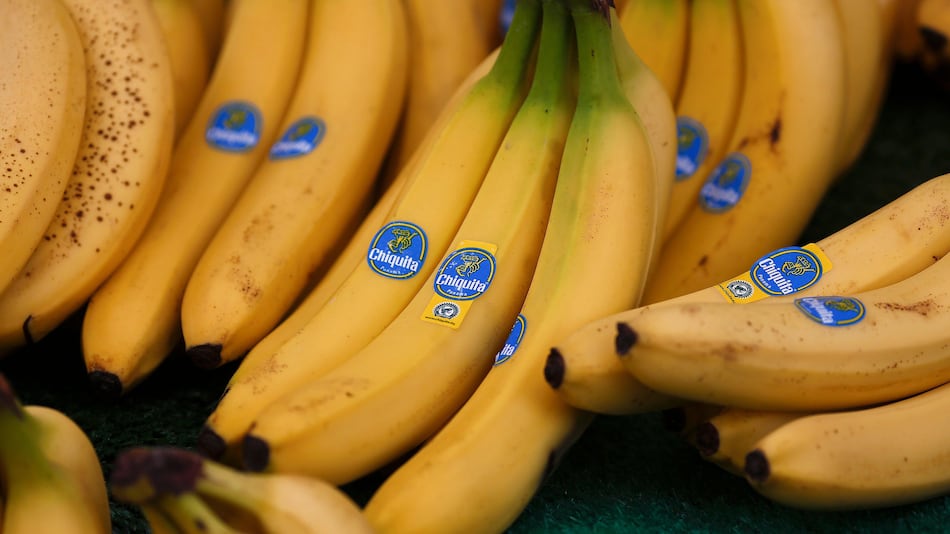 Cciap celebra el regreso de Chiquita a Bocas del Toro