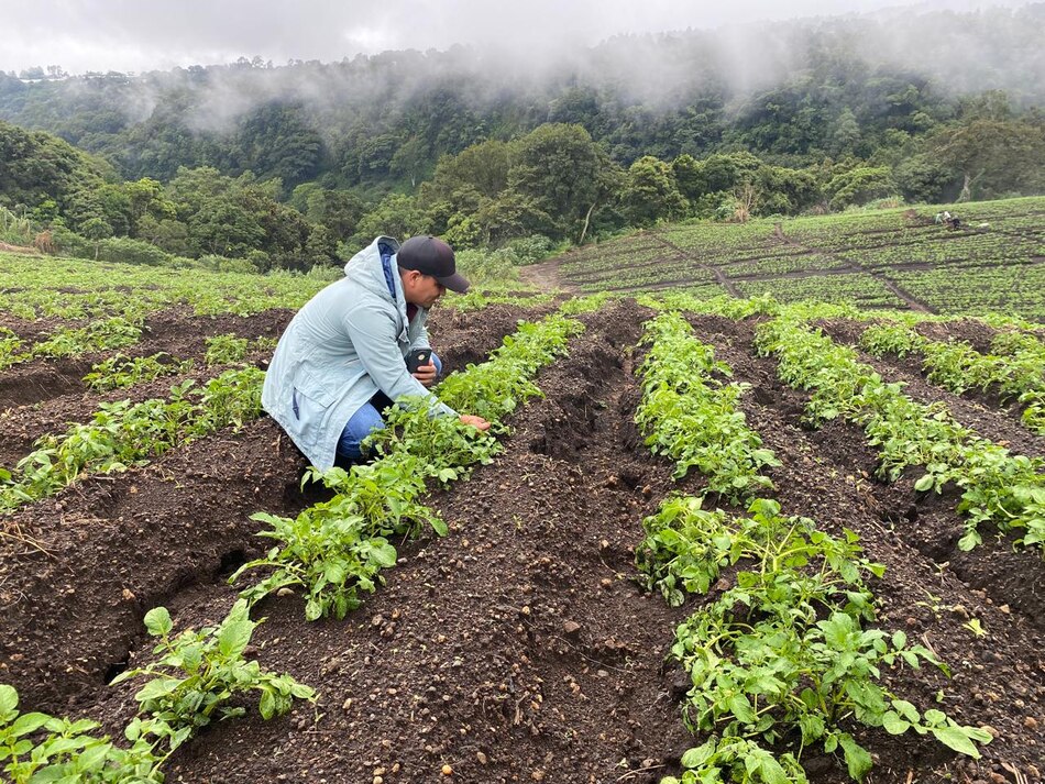Boquete: Mida inicia evaluación de áreas afectadas tras las lluvias