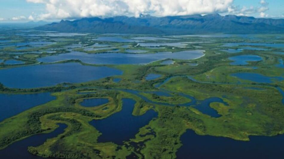 Pantanal, un tesoro amenazado en el centro de Sudamérica