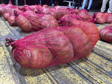 90 zapallos contaminados con presunta droga son ubicados dentro de un contenedor