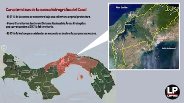 Cuenca gana 11 mil hectáreas de bosque en 10 años, pero siguen latentes riesgos climáticos