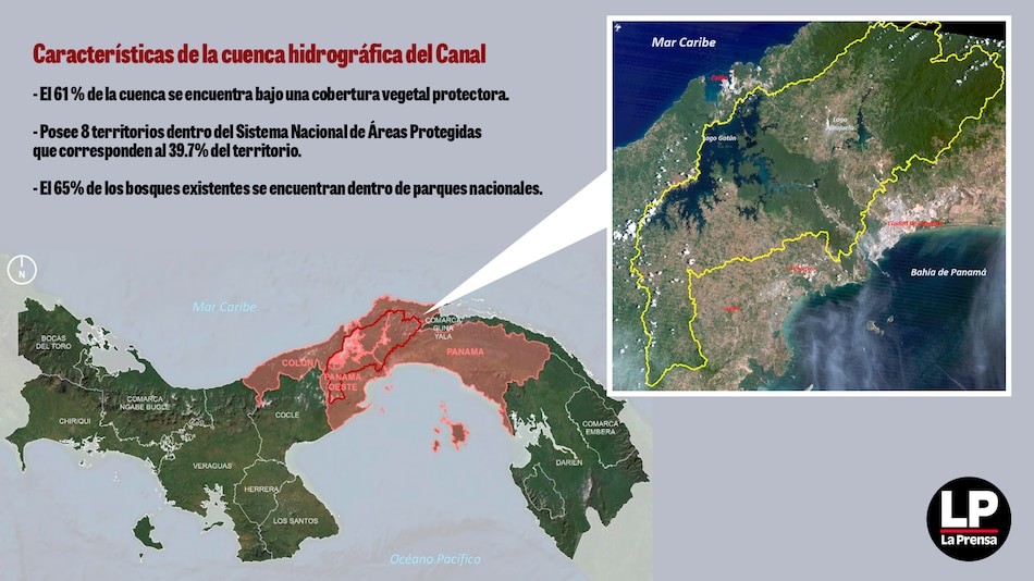 Cuenca gana 11 mil hectáreas de bosque en 10 años, pero siguen latentes riesgos climáticos