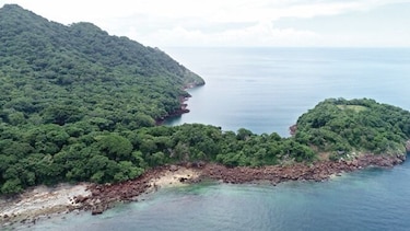 Batalla por Boná enfrenta vida silvestre marina con multimillonario proyecto