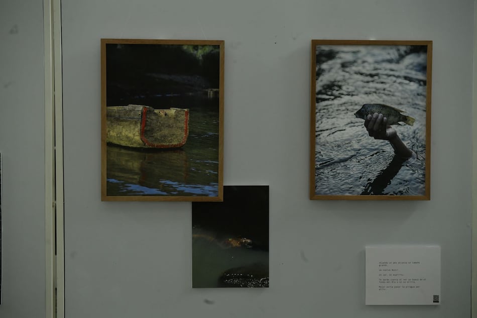 La conexión con Jenené