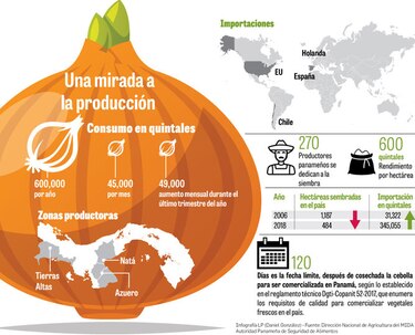 Dos propuestas ante crisis de la cebolla