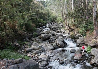 Autoridades no tienen registros de otra desaparición en Boquete