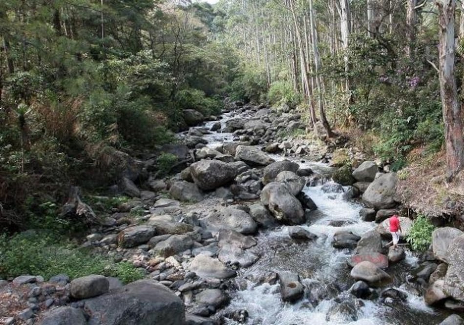 Autoridades no tienen registros de otra desaparición en Boquete