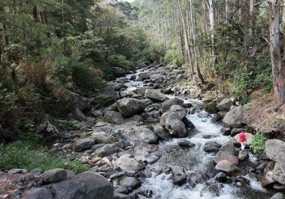 Autoridades no tienen registros de otra desaparición en Boquete