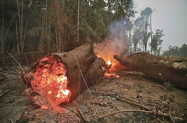 El incansable combate al fuego en el Pantanal, santuario de la biodiversidad