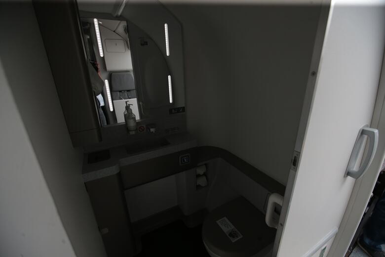 Airbus busca aumentar su presencia en América Latina con el nuevo avión A220