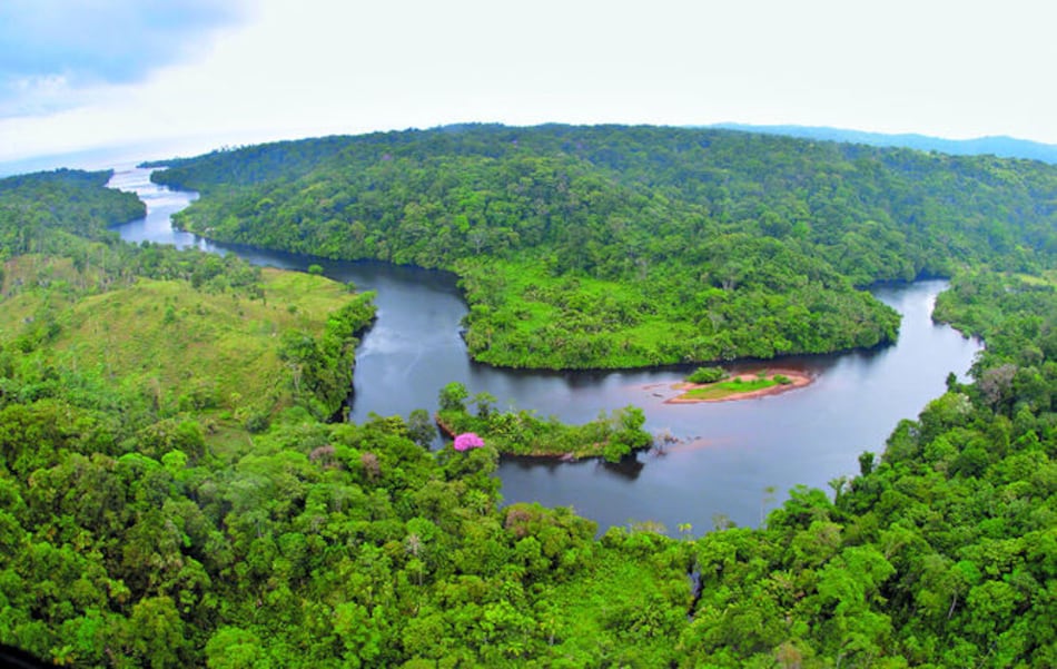 Aprueban en primer debate titulación de área protegida
