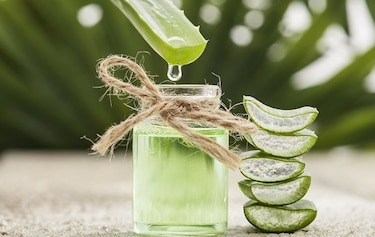 Beneficios del aloe vera