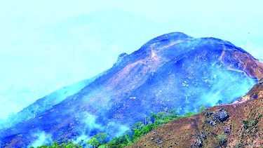 Bosques de Los Santos, vulnerables a incendios