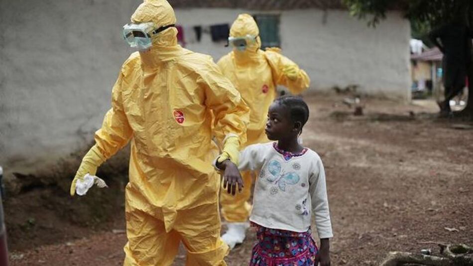 Murciélagos podrían ser fuente del ébola en África occidental