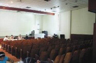 Renovación lánguida