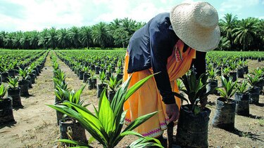 Definen estrategias para impulsar al sector agro