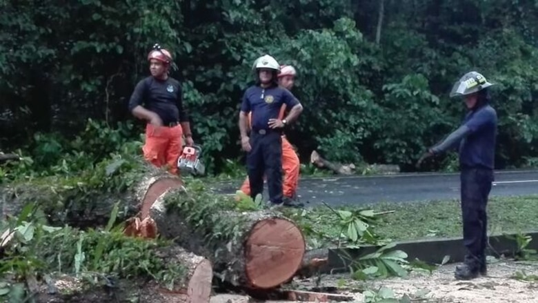 Caída de árbol obstaculiza tránsito en la vía La Amistad; reportan heridos leves