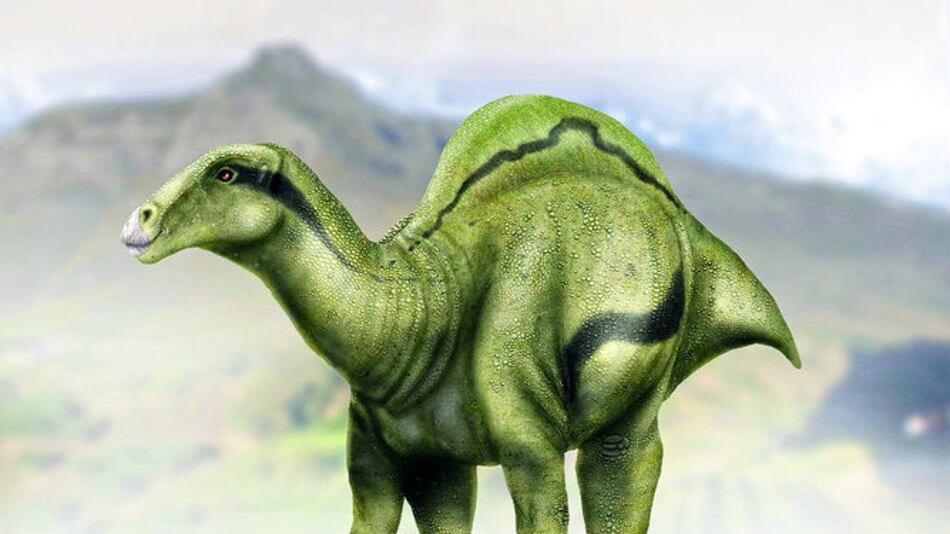 Hallan nueva especie de dinosaurio
