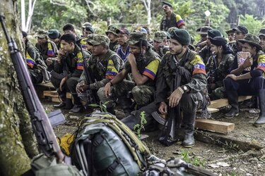 Comienza inspección de zonas de concentración de FARC