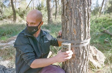 En Israel buscan salvar las gacelas de la extinción