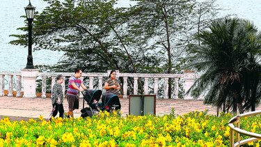 La extensión viviente del biomuseo