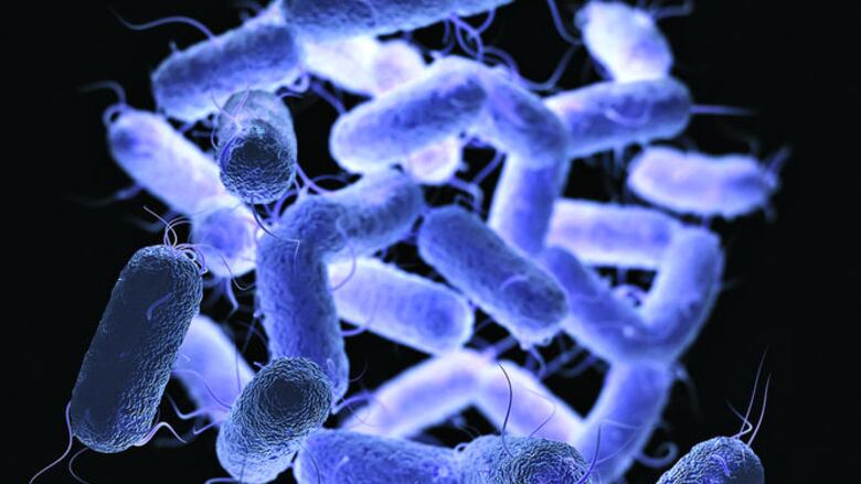 Microbios más resistentes