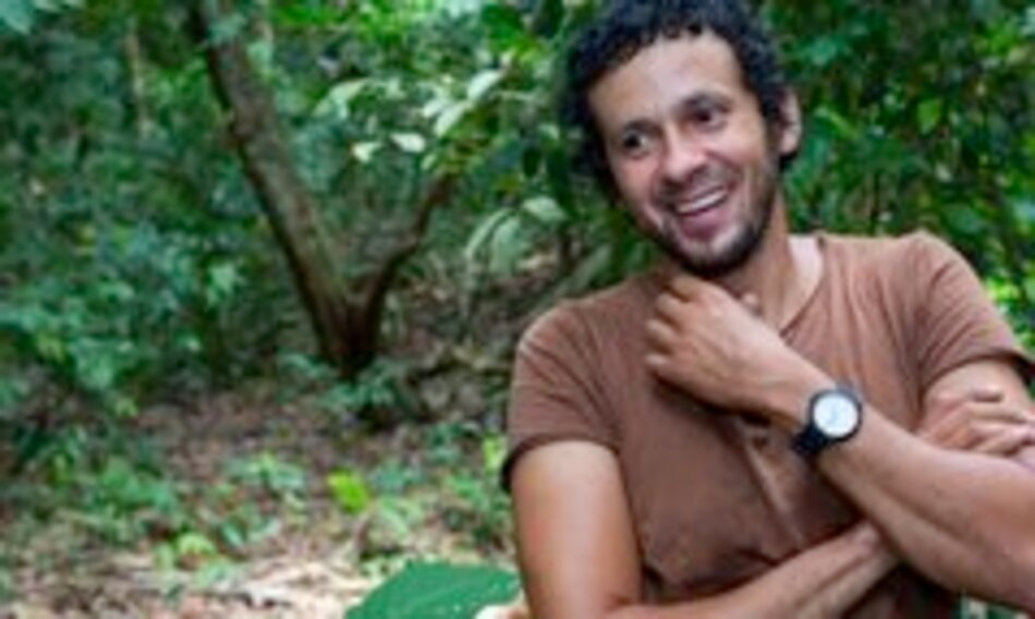 Científico panameño se lleva las hormigas a su casa por la Covid-19