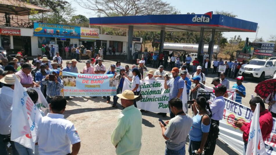 Ganaderos santeños esperan ser atendidos por Cortizo el próximo 20 de noviembre