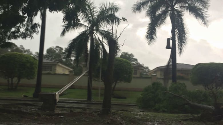 Caída de árboles y desprendimiento de techos debido a sistema de mal tiempo
