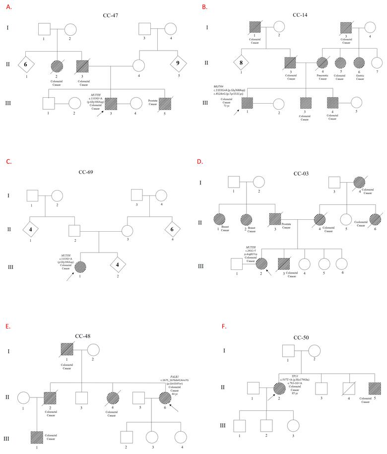 Mutación genética única detectada en pacientes con cáncer de colon en Azuero