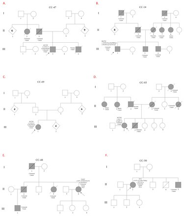 Mutación genética única detectada en pacientes con cáncer de colon en Azuero