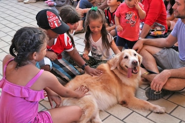 Town Center Costa del Este, la sede de la Navidad en Panamá