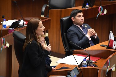 Propuesta de ley busca garantizar que el 80% del servicio exterior sea de carrera