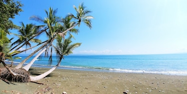Costa Rica lanza campaña basada en el ‘pura vida’ para atraer más turistas de México