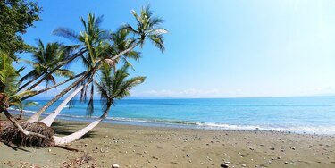 Costa Rica lanza campaña basada en el ‘pura vida’ para atraer más turistas de México