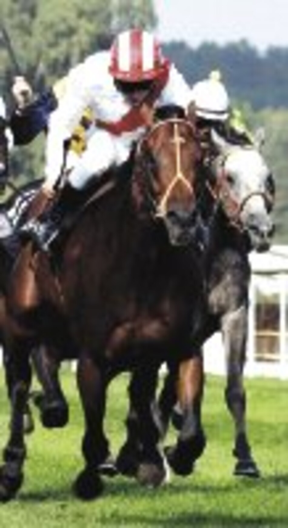 Pedroza va en la grande de Hollywood