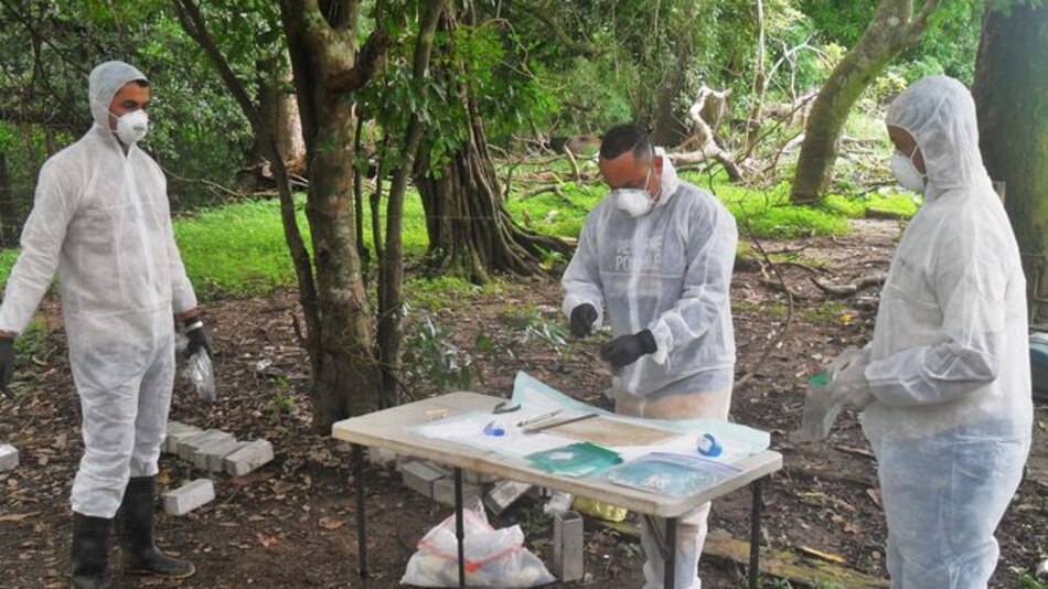 Tonosí registra el 58% de los casos de virus hanta