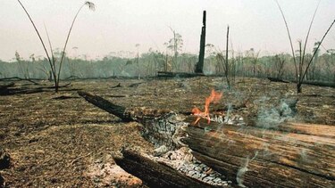 Brasil disminuye emisión de gases de efecto invernadero