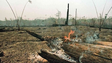 Brasil disminuye emisión de gases de efecto invernadero