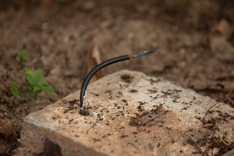 La Cresta: entre árboles, paisajismo, la demanda de agua y mejores servicios públicos